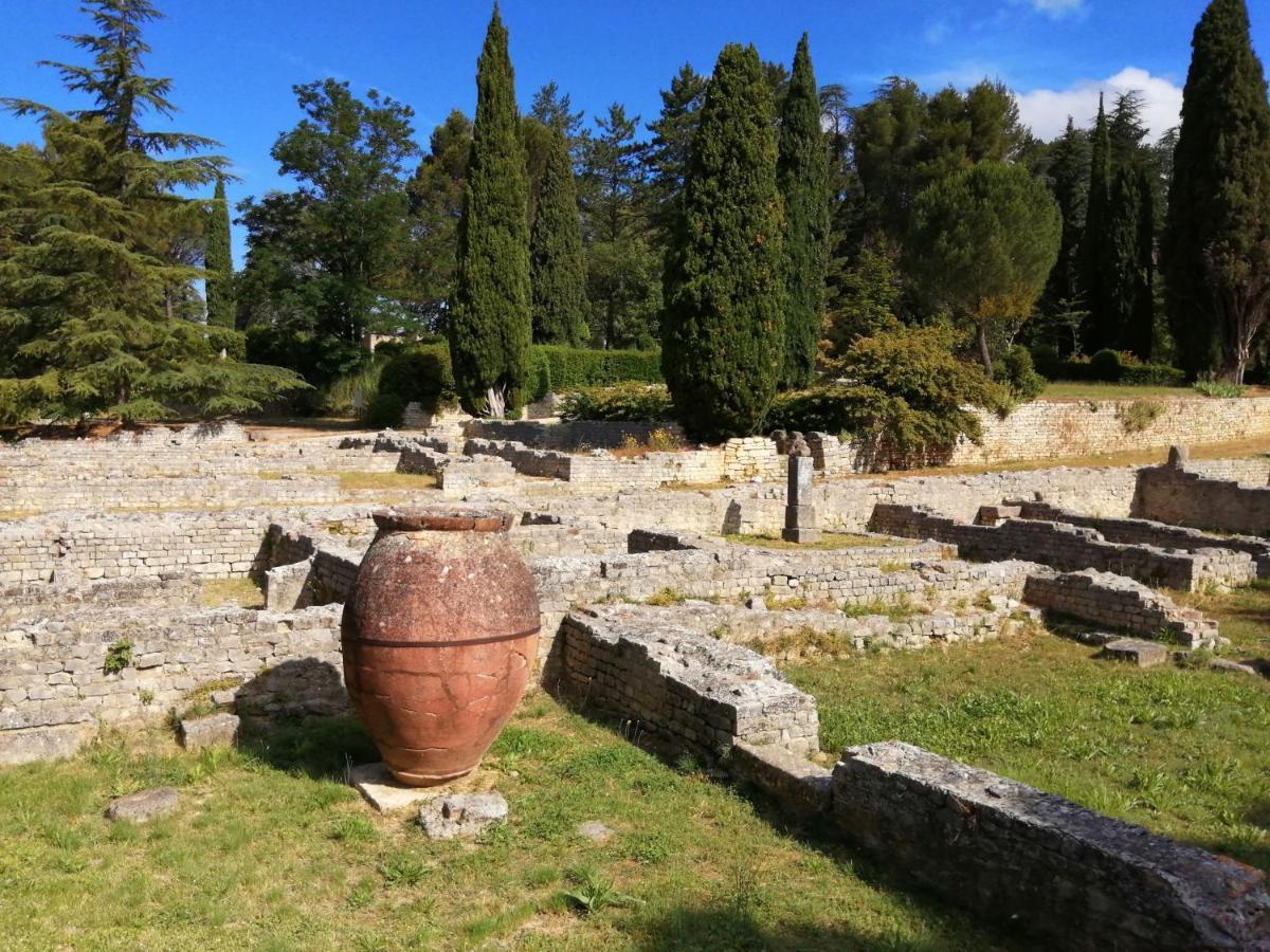Au Villadior - Vaison La Romaine Bagian luar foto