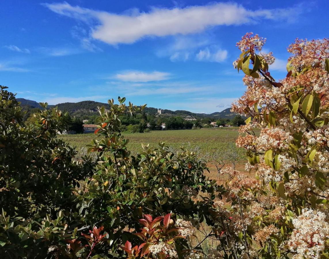 Au Villadior - Vaison La Romaine Bagian luar foto
